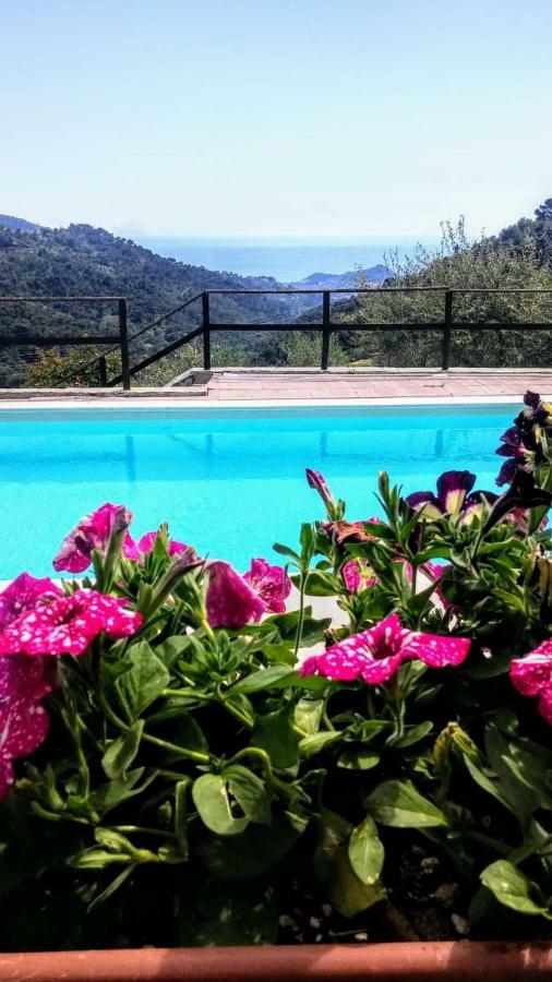 Agriturismo Osteria Du Barba Pe' - Casa Miranda Σεμπόργκα Εξωτερικό φωτογραφία